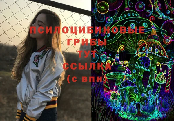 твердый Аркадак