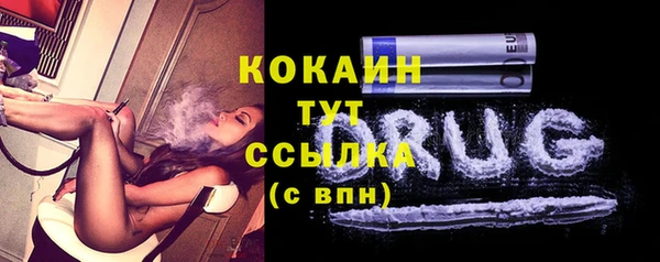 твердый Аркадак