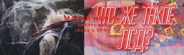 твердый Аркадак
